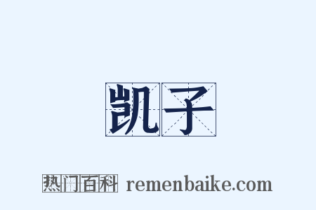 凯子是什么意思的图片